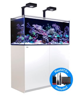 水槽 - AQUATIMES AIR
