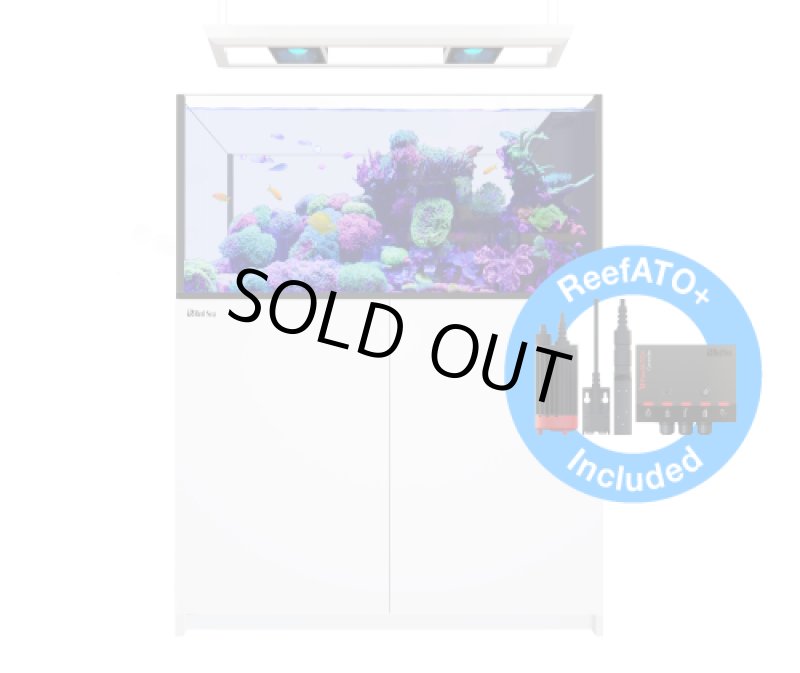 画像1: REEFER ペニンシュラ500 G3 DX (1)