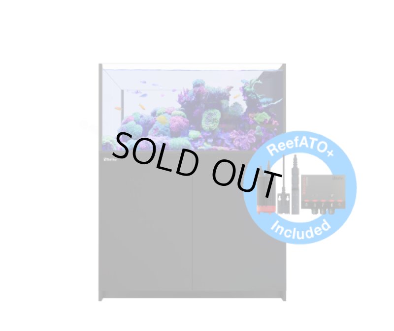 画像2: REEFERペニンシュラ500 G3 (2)