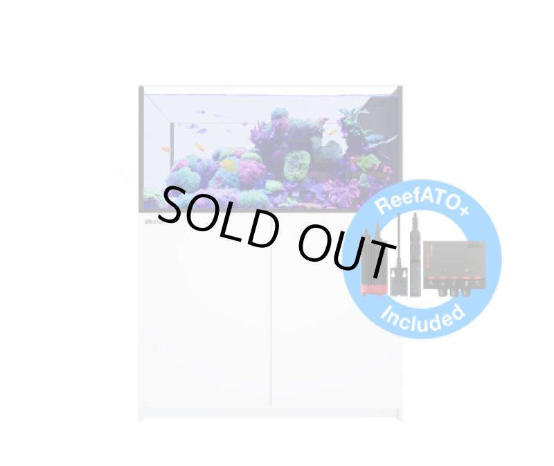 画像1: REEFERペニンシュラ500 G3 (1)