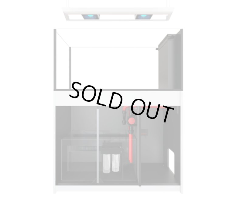 画像3: REEFER ペニンシュラ500 G3 DX (3)