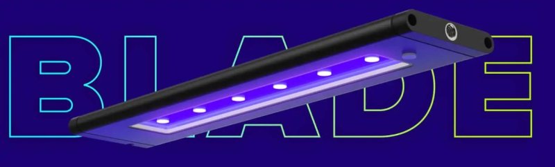 画像1: AI Blade Grow (1)