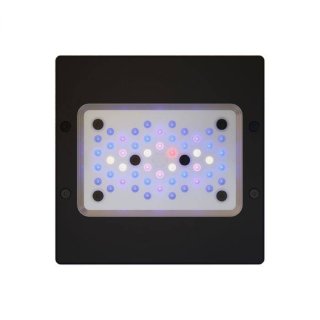 Radion G6 Pro XR30 - AQUATIMES AIR