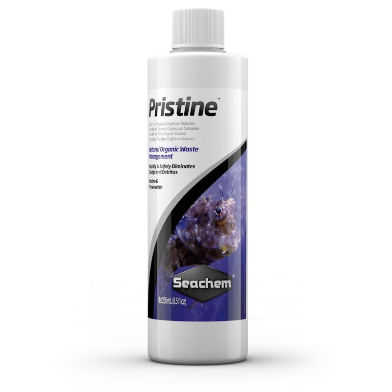 画像1: Pristin 100ml (1)