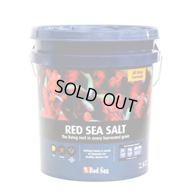 画像1: レッドシーソルト 22kg (1)