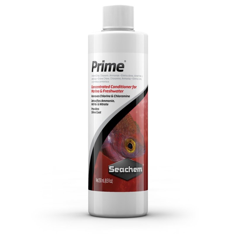 画像1: Prime 100ml (1)