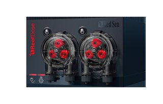 Red Sea - AQUATIMES AIR
