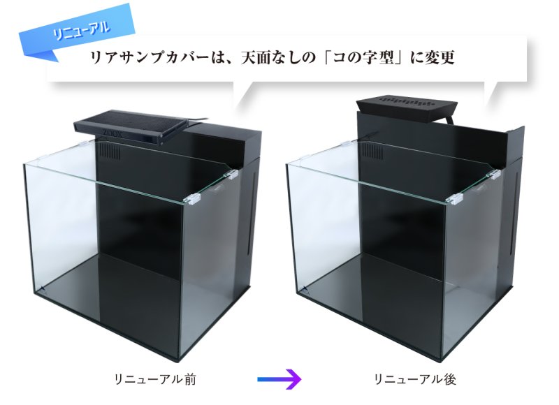 画像2: シェルII (2)