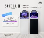 画像1: シェルII (1)
