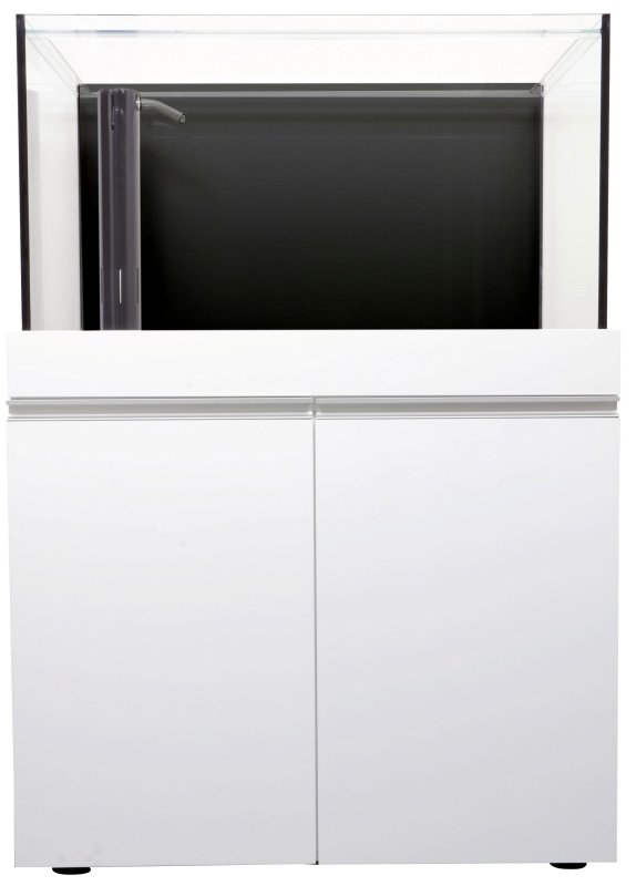 画像3: オルカTフルセット (3)