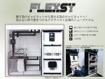 画像1: FLEXSY (1)