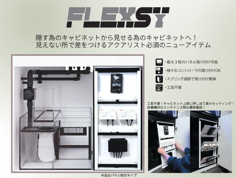 画像1: FLEXSY (1)