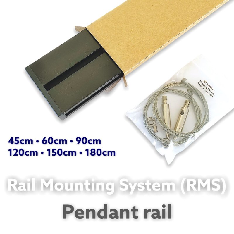 画像1: X4 RMS Pendant Rail (1)