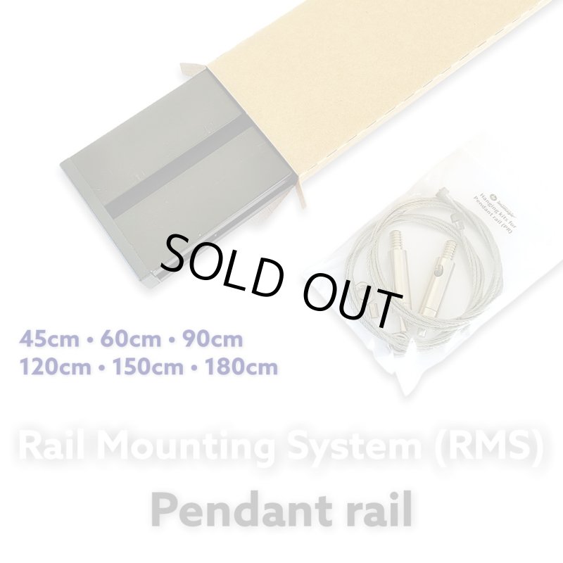 画像1: X4 RMS Pendant Rail (1)