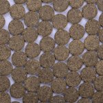 画像3: ニブルビッツ (3)