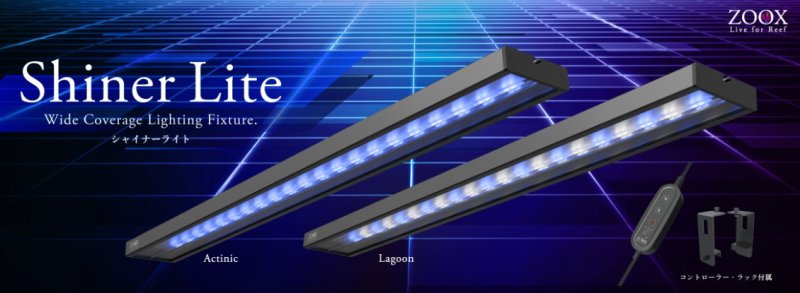 画像1: ラグーンシャイナーライト (1)