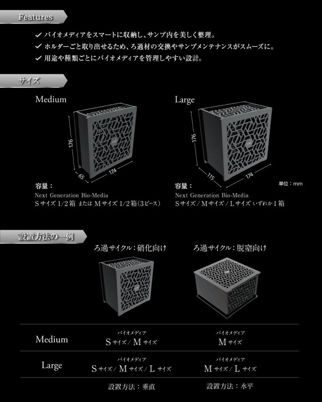 画像2: Genesis Rock (2)