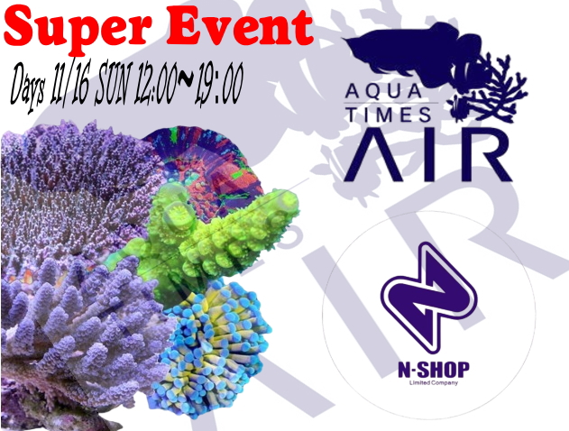 Coral Focus便＆海水魚入荷！！