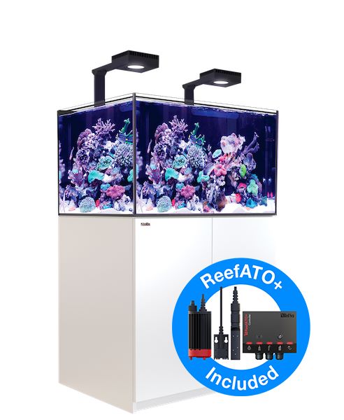 REEFER MAX 300 G2+
