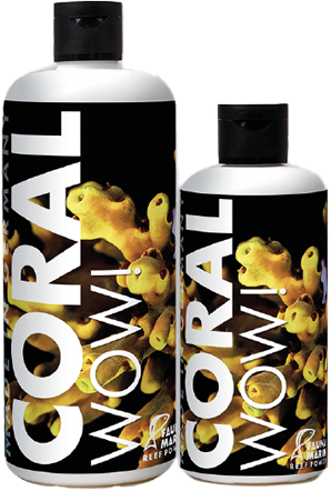 Coral WOW！