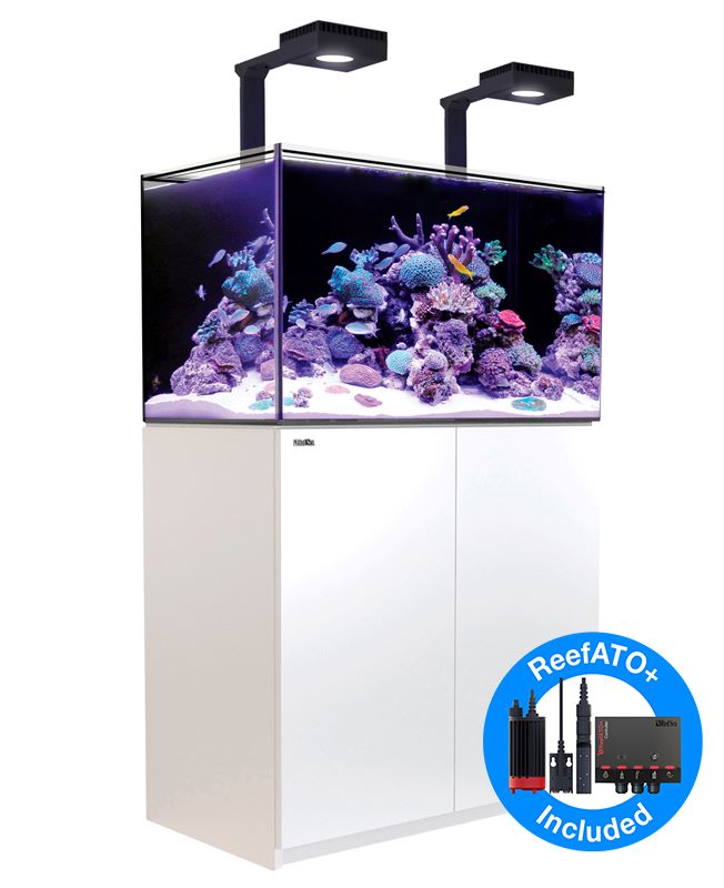 REEFER MAX 350 G2+
