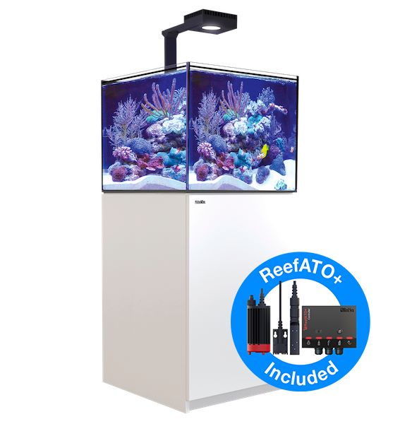 REEFER MAX 200 G2+